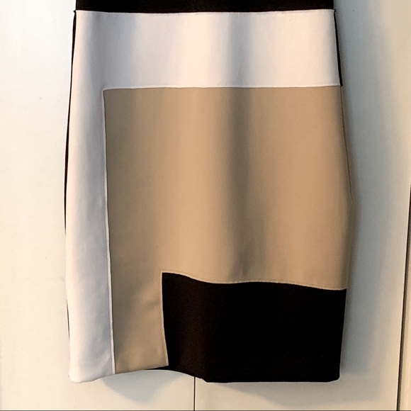 Reed Black White Geometric Print Fitted Spandex Dress - Picture 3 of 6